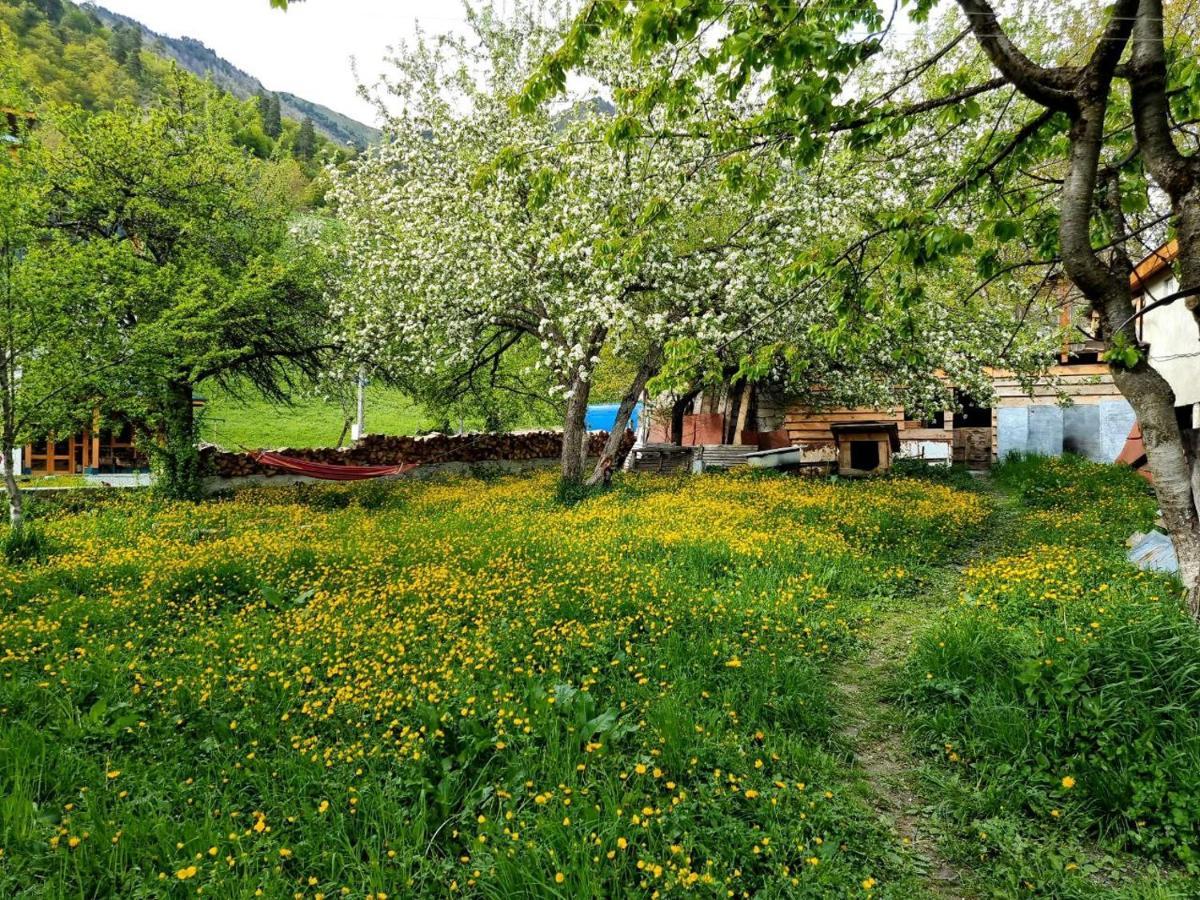Girgola Bed & Breakfast เมสเตีย ภายนอก รูปภาพ
